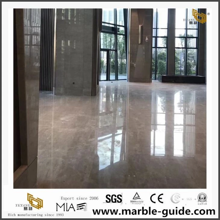 Caesar Grey Marble Slab For Hotel Lobby