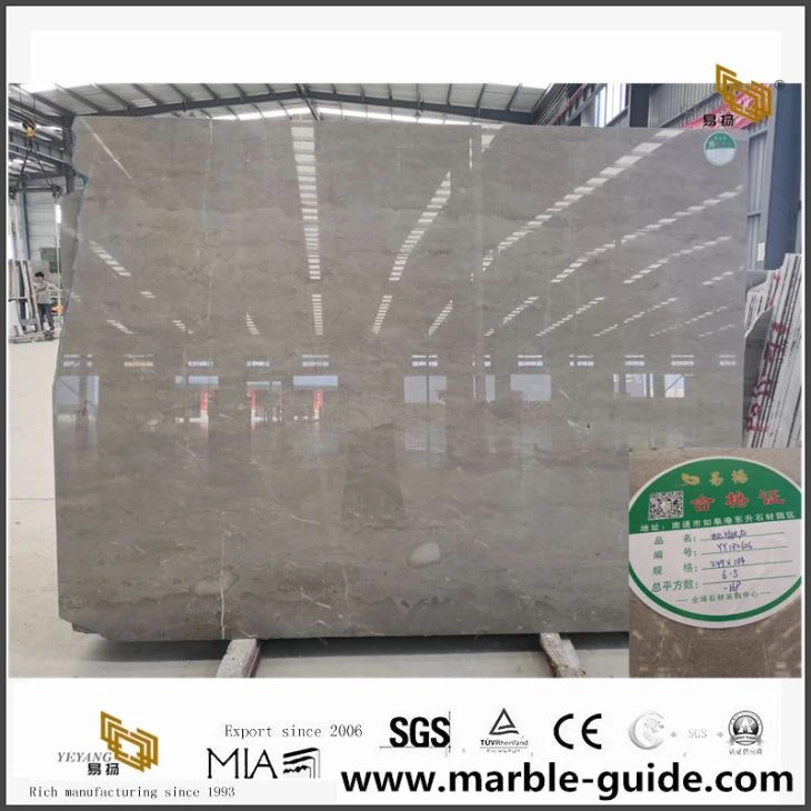 Caesar Grey Marble Slab For Hotel Lobby