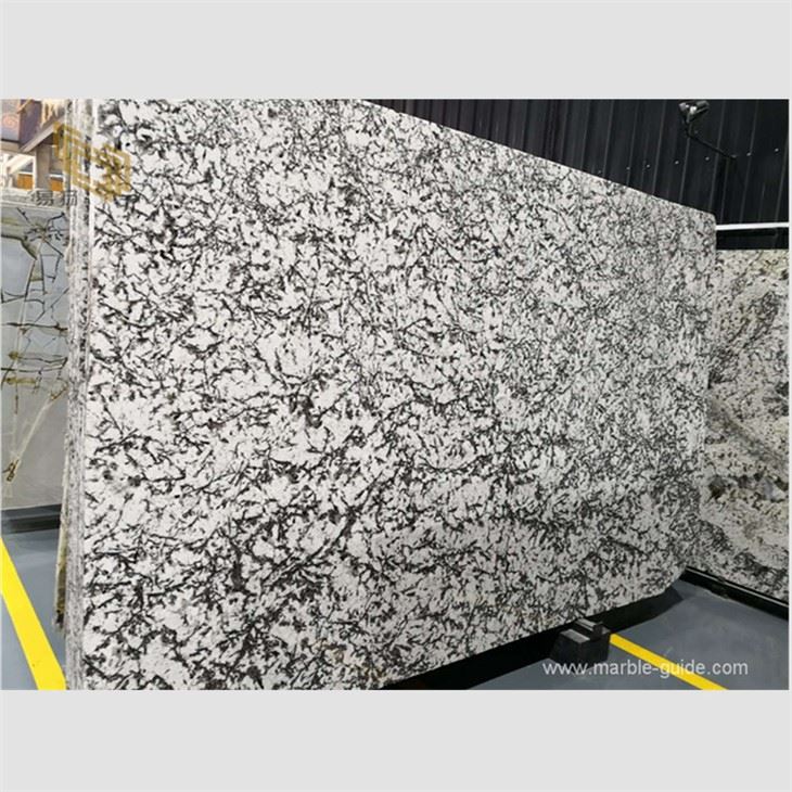 Snow Mountain Silver Fox Marble Vanity Top