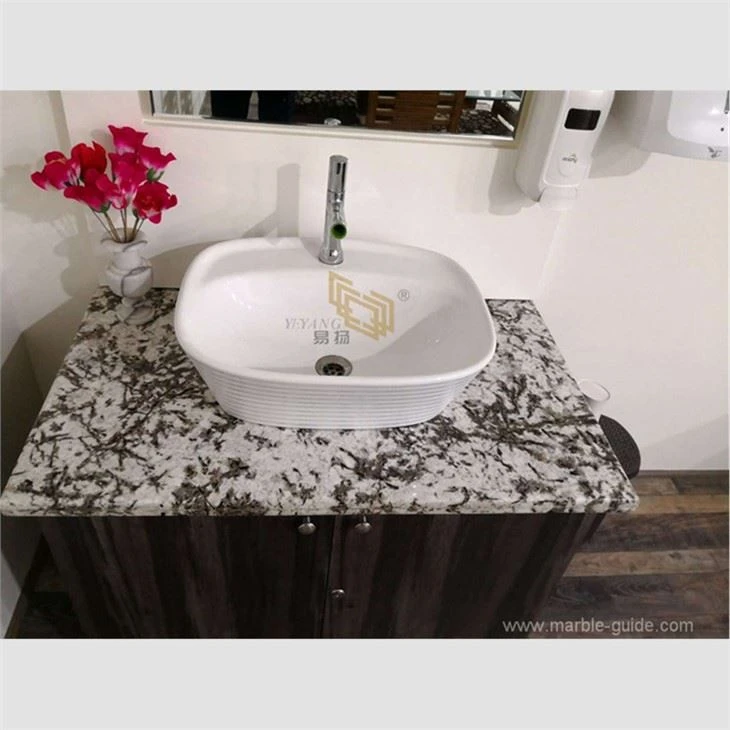 Snow Mountain Flying Fox Marble Vanity Top